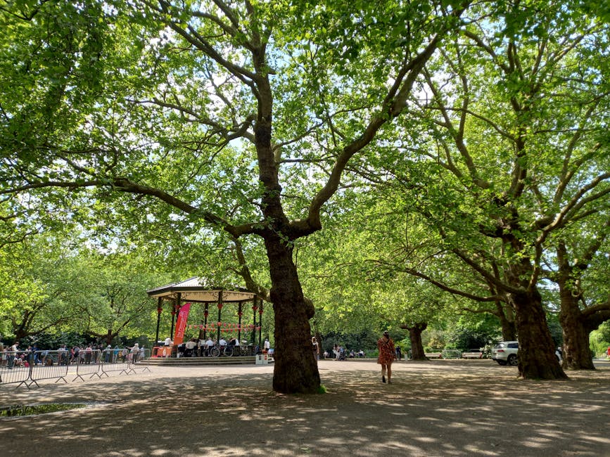 A spacious outdoor park scene with large mature trees featuring broad green foliage providing shade over the open ground. In the background, there is a small wooden bandstand with a canopy roof, surro